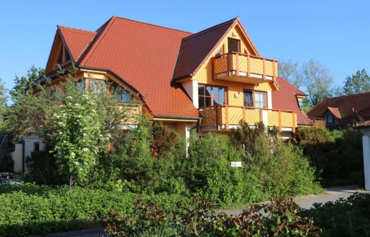 Oewern Diek Wustrow  Bagian luar foto